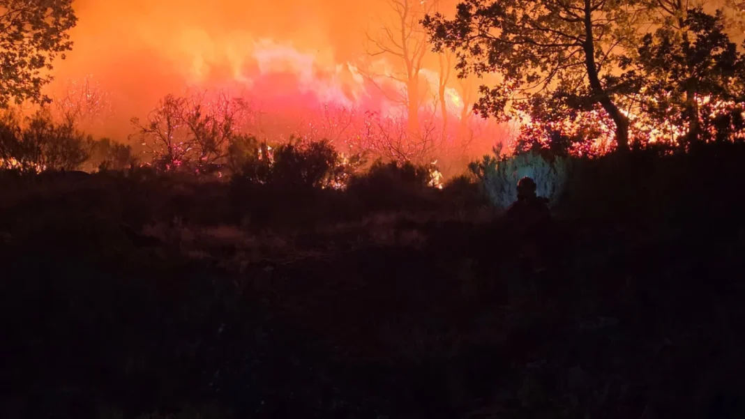 Incendios forestales en España
