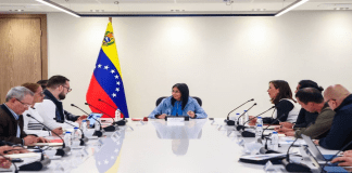 vicepresidenta ejecutiva