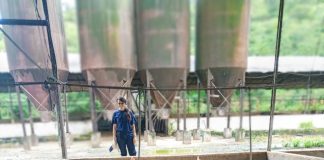 Plan Proteína Porcina 2025