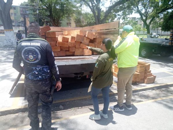incautaron lotes de madera aserrada