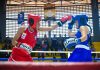 Nacional de Boxeo