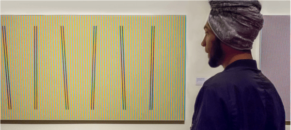 Carlos-Cruz-Diez-obra-espectador