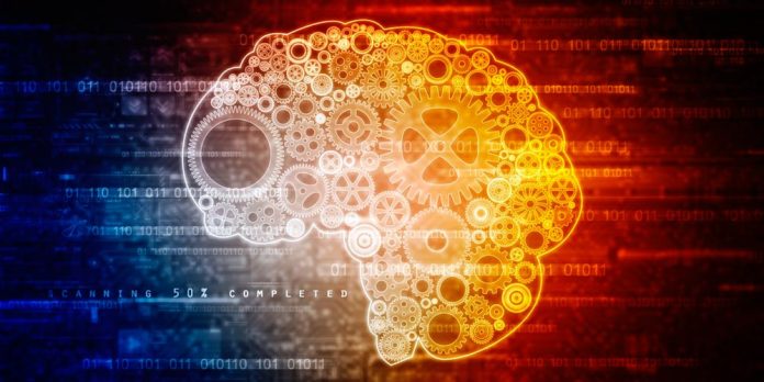 Cerebro El cerebro funciona formando redes