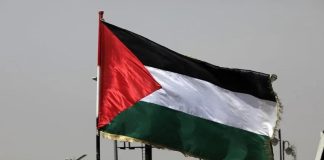 Bélgica reconocerá a Palestina