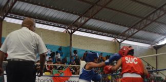 boxeo sub17
