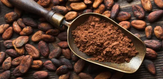 extracto de cacao