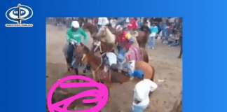 Caso de maltrato animal