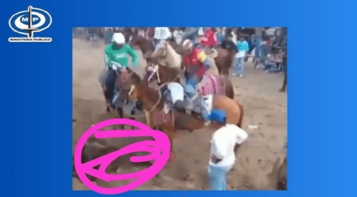 Caso de maltrato animal