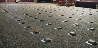 FANB incauta más de una tonelada de drogas en Zona Binacional de Paz