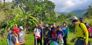 Jornada de reforestación en Sabana de la Guardia