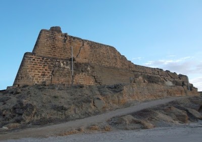 Araya