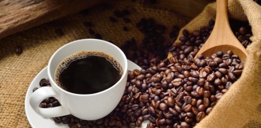 cosecha cafetalera