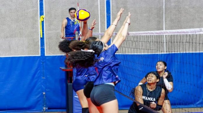 Voleibol femenino