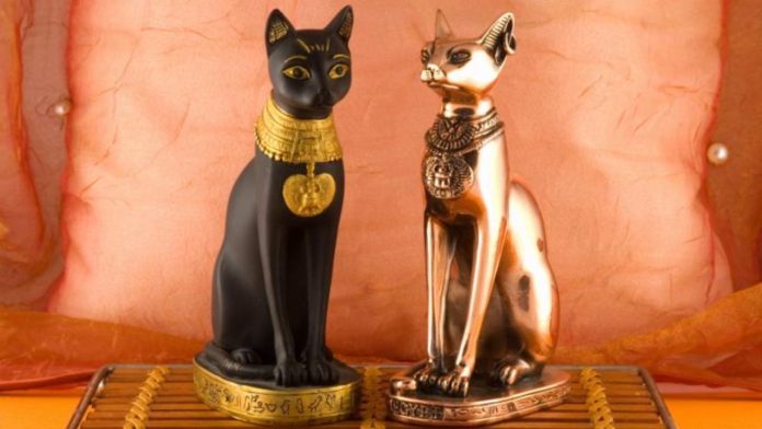 Los gatos