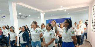 docentes