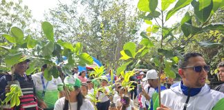 jornada de reforestación