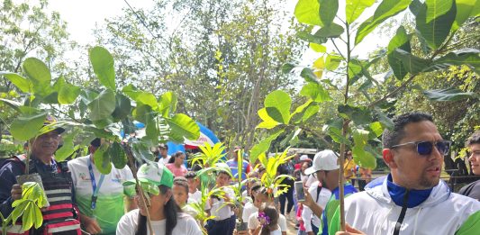 jornada de reforestación