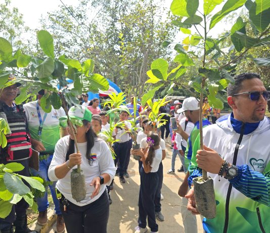 jornada de reforestación
