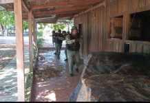 FANB destruye dos campamentos TANCOL en Amazonas