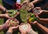 Venezuela ratifica su compromiso con la FAO en su 80º aniversario Venezuela ratifica su compromiso con la FAO