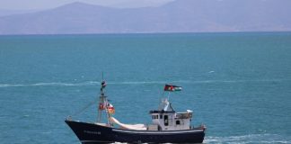 Flotilla logró entrar en aguas gazatíes