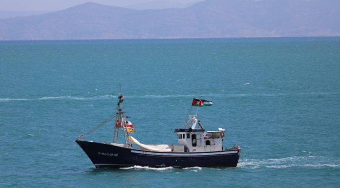 Flotilla logró entrar en aguas gazatíes