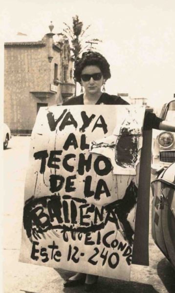 Vaya al Techo de la Ballena