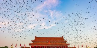 76 años de la República Popular China