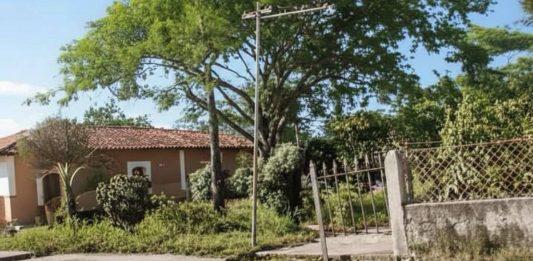 La Plaza Bolívar de Flor Amarillo