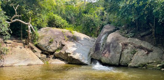 Quebrada El Ñiopo
