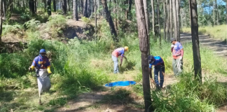 Realizan inspección preventiva contra Incendios en el Cerro El Café