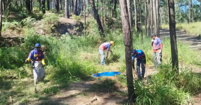 Realizan inspección preventiva contra Incendios en el Cerro El Café Realizan inspección preventiva contra Incendios en el Cerro El Café