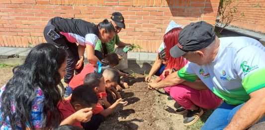 plan de siembra escolar