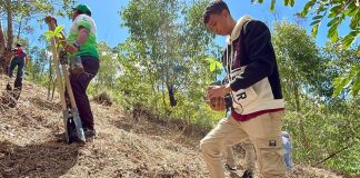 Plantan más de 32 mil especies en jornada nacional de reforestación