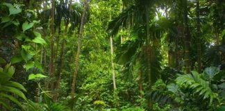 Organizaciones civiles