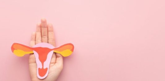 Microbiota vaginal - proyecto de investigación