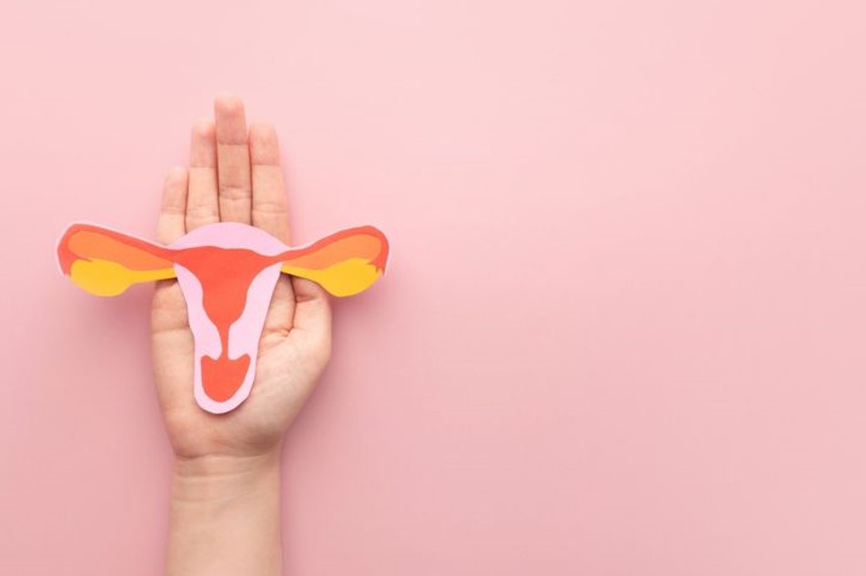 Microbiota vaginal Microbiota vaginal - proyecto de investigación