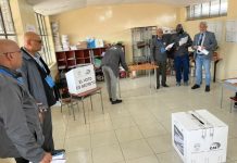 Veedores Internacionales