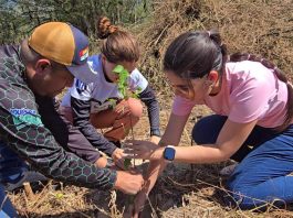 En San Joaquín: Sembrados más de 2 mil árboles fueron en el Parque Nacional Henri Pittier Árboles sembrados