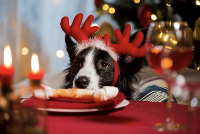 a1 comidas navideñas