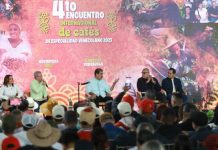 Crearán la Universidad del Café