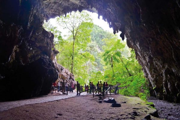 la cueva del guácharo-Caripe-Monagas