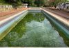 Las Aguas Termales de Mariara