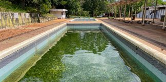 Las Aguas Termales de Mariara