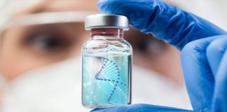 Células madre de grasa corporal