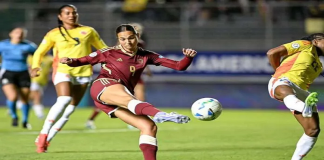 Vinotinto femenina