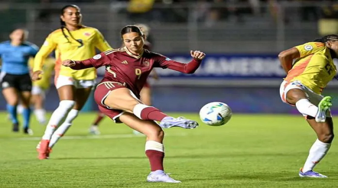 Vinotinto femenina Vinotinto femenina