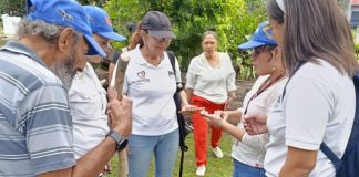 IMA talleres colaborativos