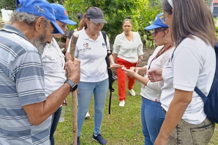 IMA talleres colaborativos