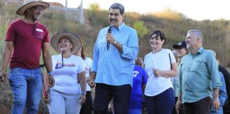 10 millones de árboles